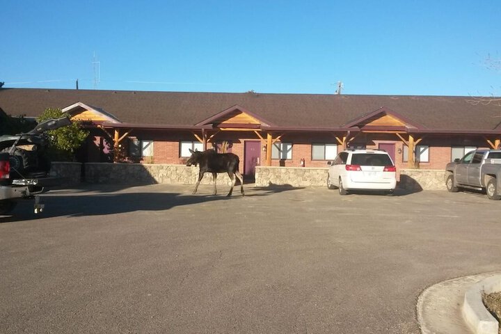 Sundance Motel