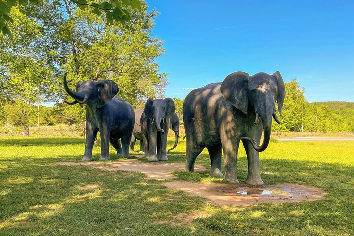 Quaint Asheboro Home 1 Mi to North Carolina Zoo!
