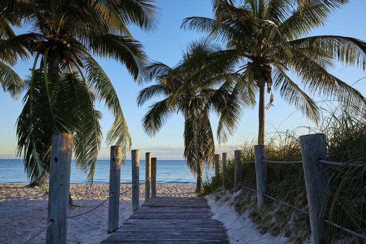 Beach 60 of 75