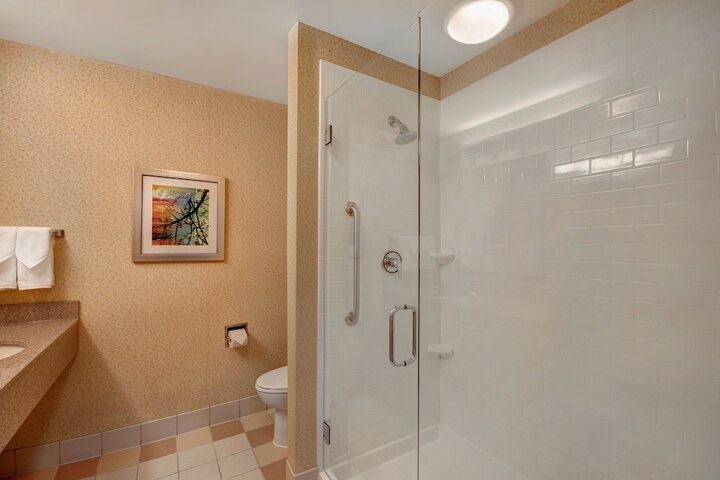 Fairfield Inn & Suites by Marriott Detroit Metro Airport Romulus