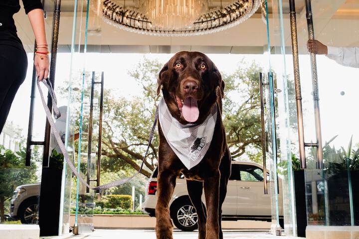 The Post Oak Hotel at Uptown Houston
