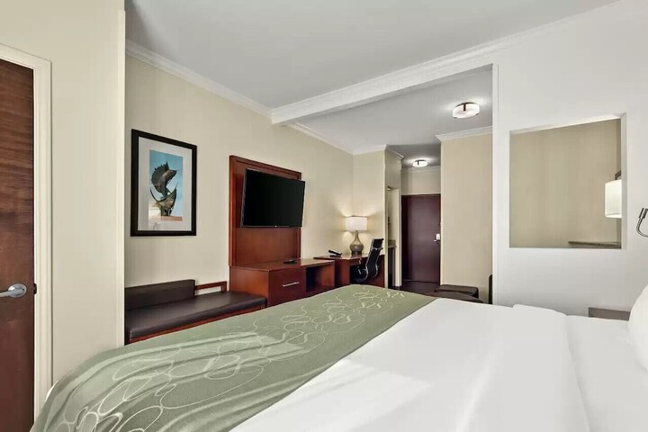 Comfort Suites Corpus Christi Central