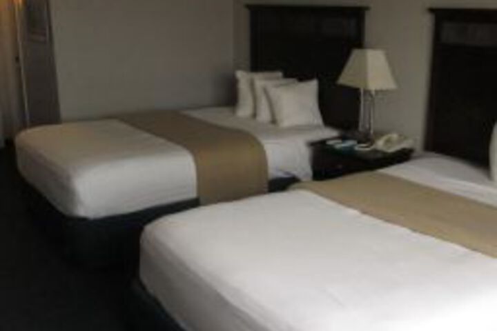 The Avenue Hotel