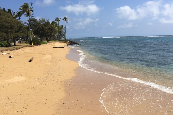 Beach 72 of 93