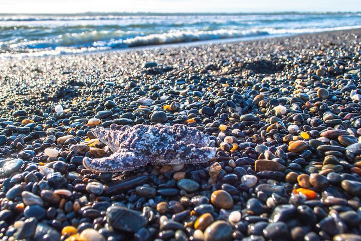 Beach 231 of 260
