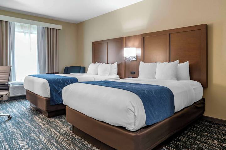 Comfort Inn & Suites Downtown near University