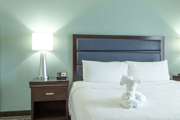 Room 19 of 35