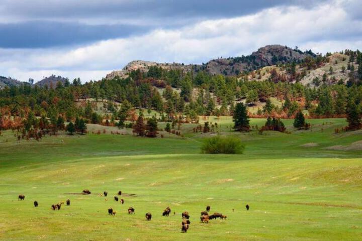 Black Hills Barndo-Hot Tub & Massage Chair