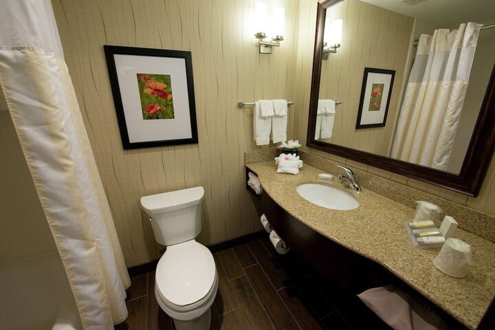 Hilton Garden Inn Dayton South-Austin Landing