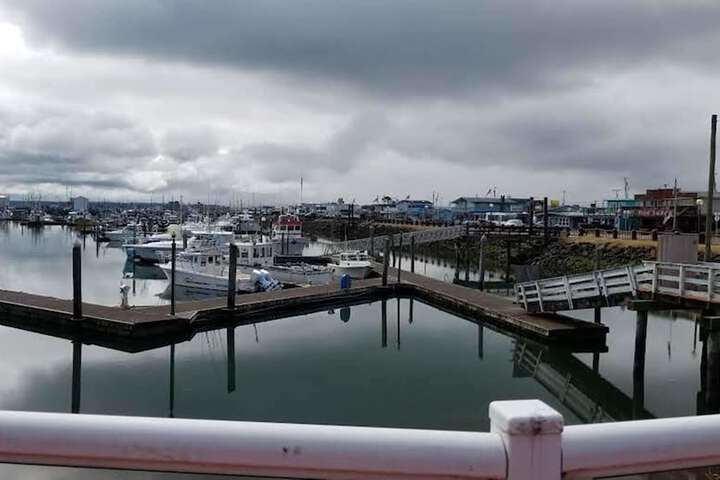 Islander Westport