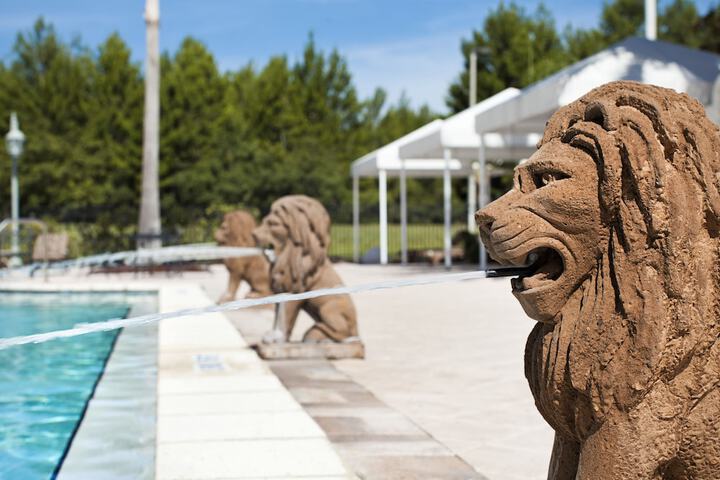 Pool 7 of 37