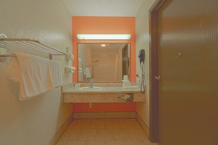 Regency Inn & Suites by OYO Bay City TX