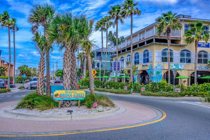Anna Maria Island Beach Palms 5B