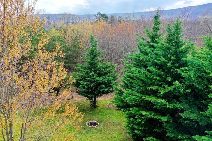 Cacapon Connected - Workplace Retreat