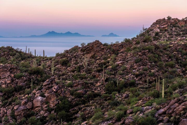 The Ritz-Carlton Dove Mountain