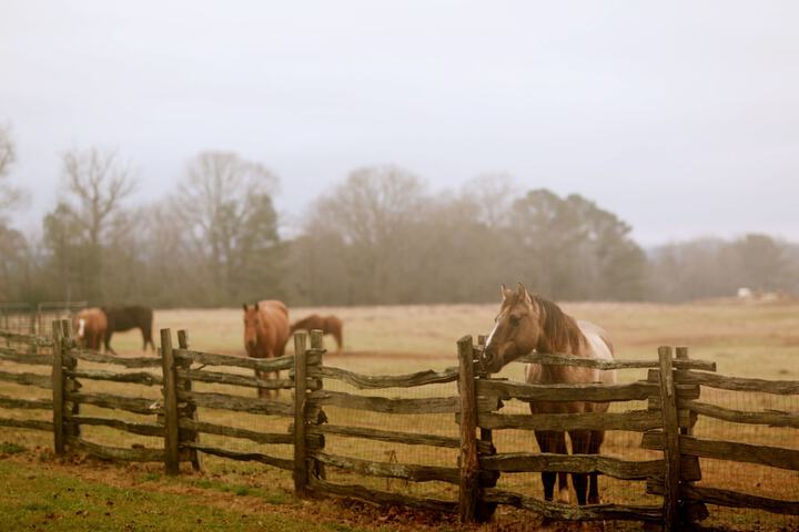 Seventy-four Ranch