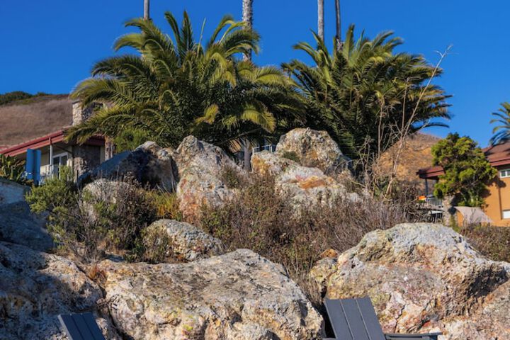 Inn at the Cove