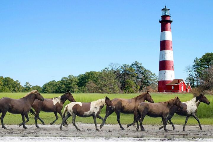 Hampton Inn & Suites Chincoteague Waterfront