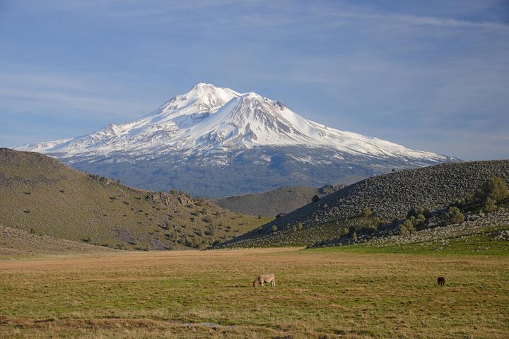 Inn at Mount Shasta