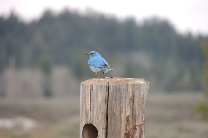 Eagle Ridge Ranch