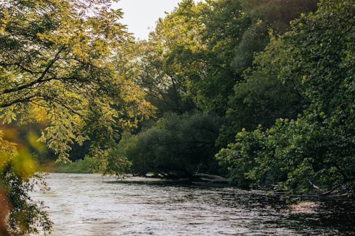 Battenkill Glamping Resort