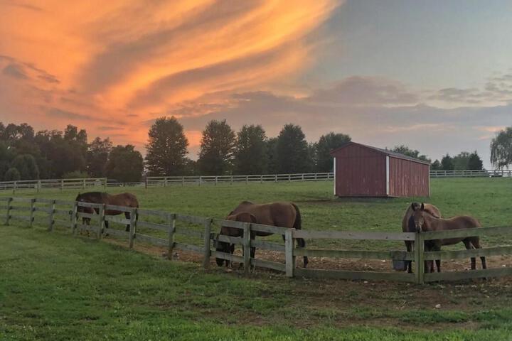 The Farm at Fox Hollow