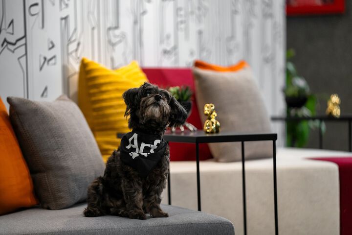 Pet Friendly 27 of 30