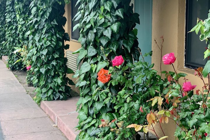 Hotel 5 of 25