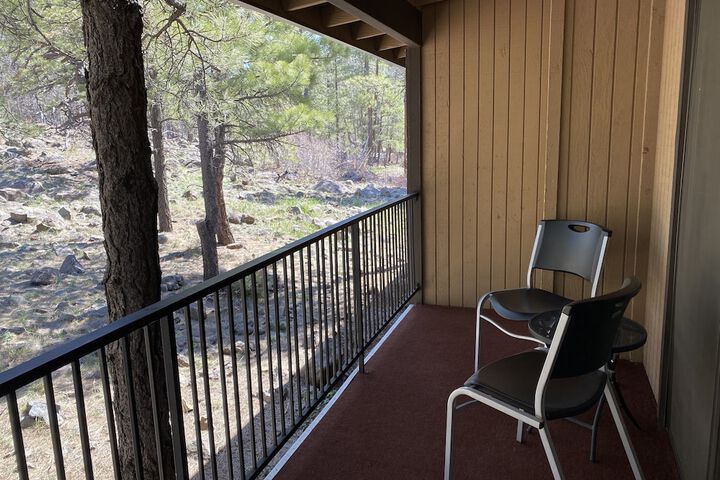 Motel in The Pines