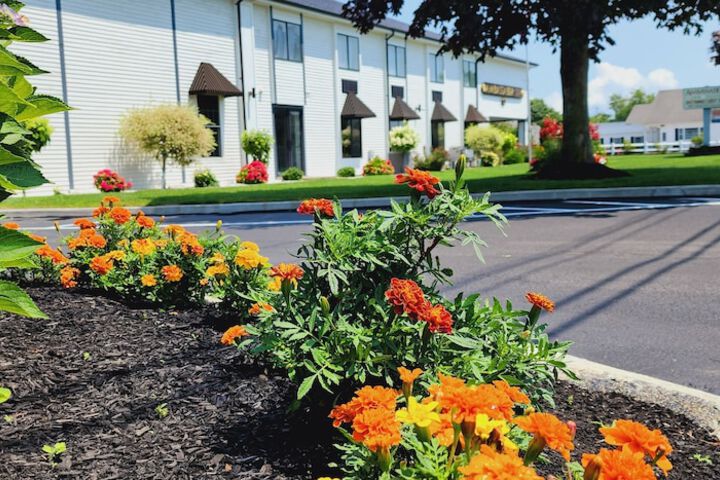 Ambassador Inn & Suites