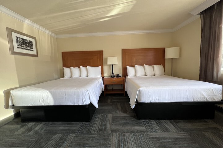 Room 25 of 36