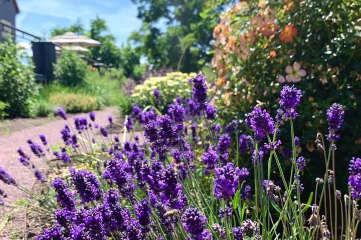 The Inn at Abeja