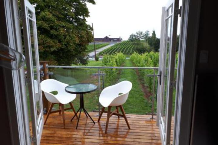 Raven Hill Vineyard