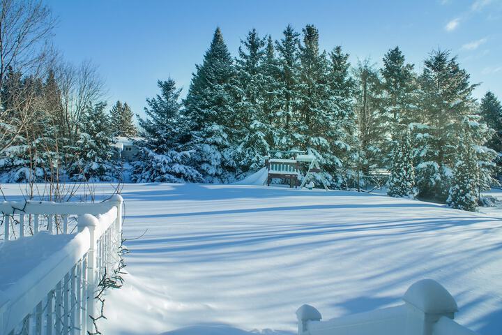 Property Grounds 19 of 23
