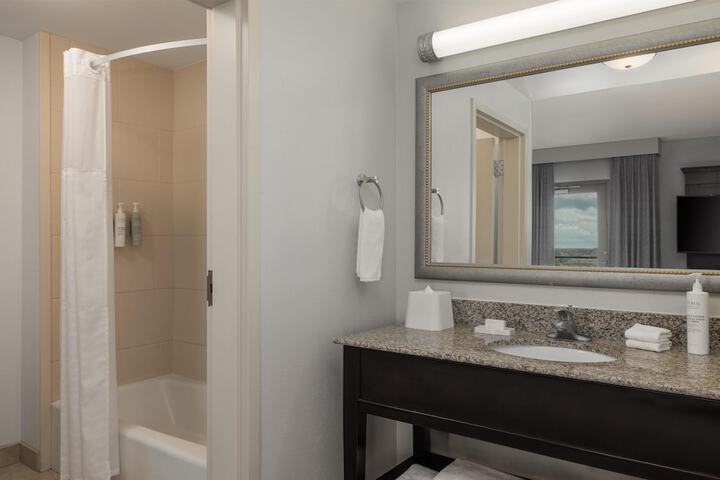 Hampton Inn & Suites Baton Rouge Downtown