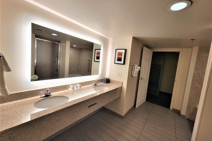 Holiday Inn & Suites Ann Arbor Univ Michigan Area by IHG