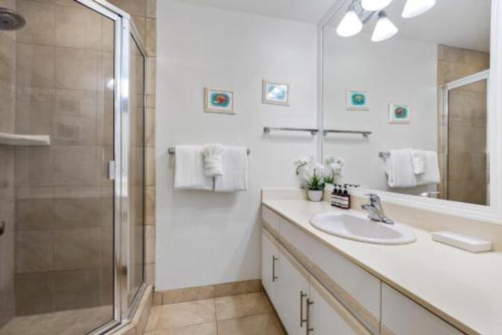 Maui Kamaole J 116 Condo