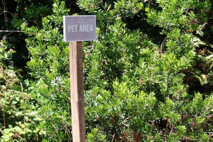 Pet Friendly 39 of 42