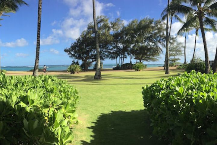 Hotel Coral Reef