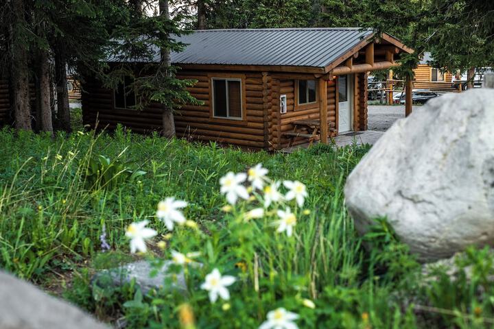 Togwotee Mountain Lodge