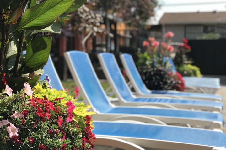Sahara Courtyard Inn