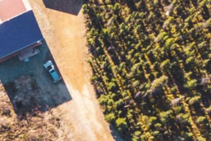 Denali Wild Stay