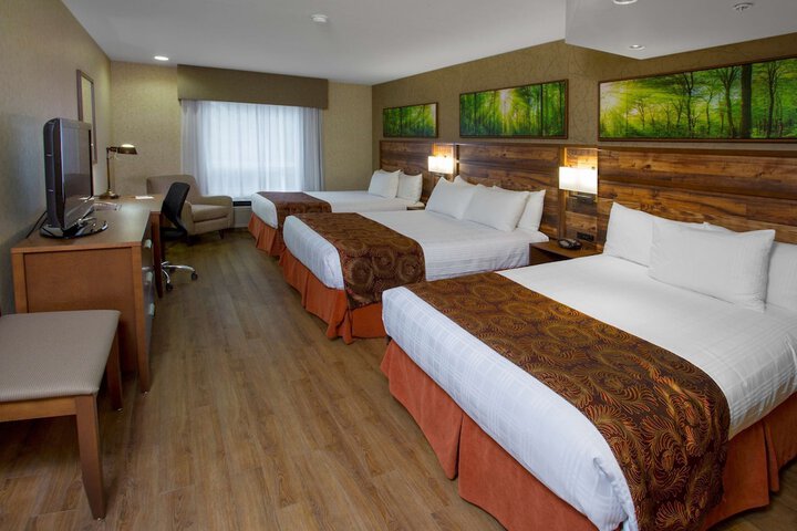 Room 20 of 53