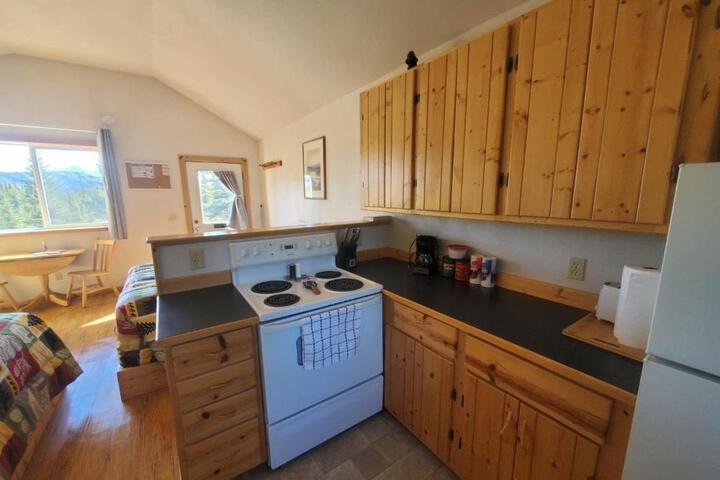 Denalis Alaskan Spruce Cabins