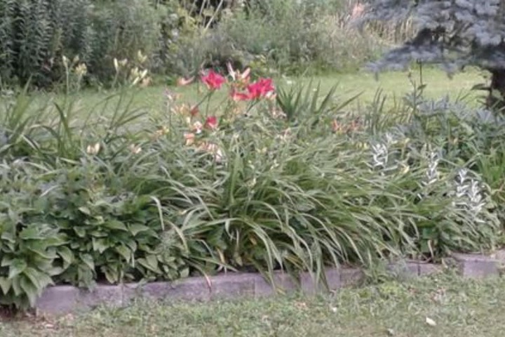 Property Grounds 35 of 39