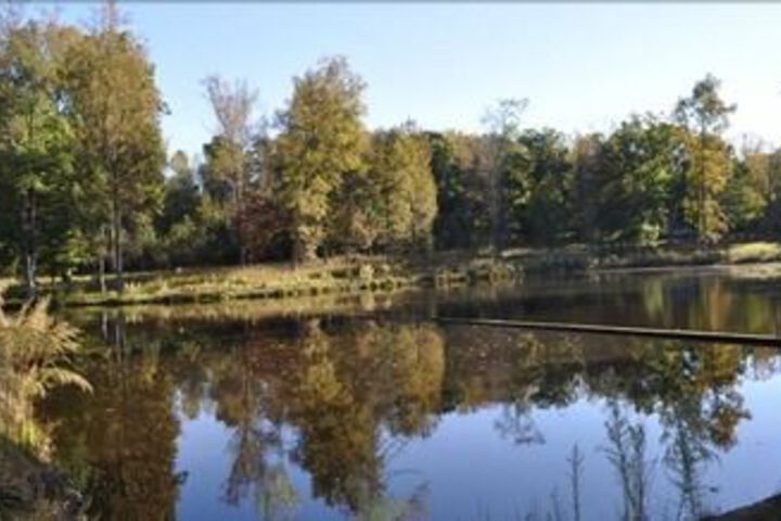 Ellerbe Springs