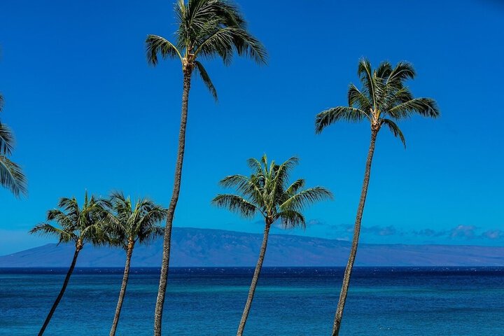 Beach 84 of 106