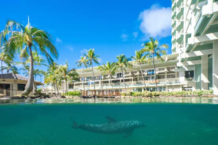 The Kahala Hotel & Resort