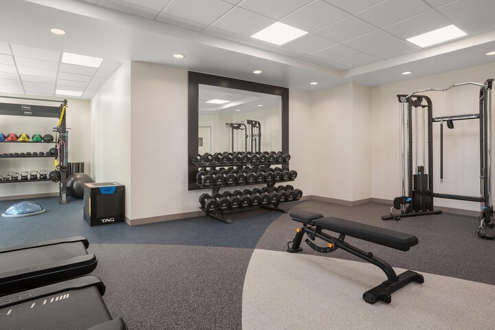 Hilton Garden Inn Tampa North Busch Gardens