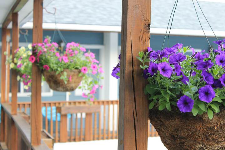 Terrace/Patio 28 of 37